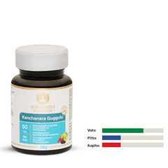 Kanchanara Guggulu – ayurvedisches Produkt