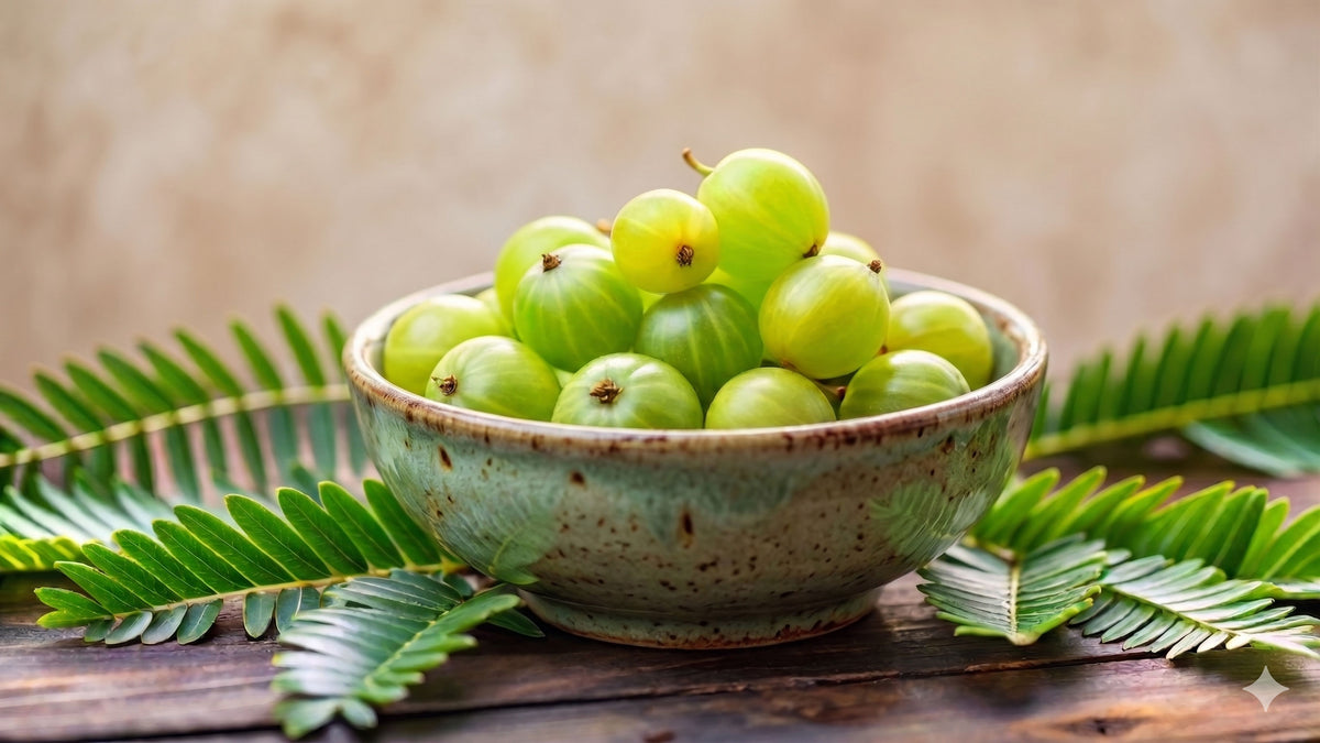 Emblica officinalis (Amalaki)*