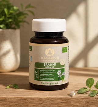 Brahmi Produktdarstellung