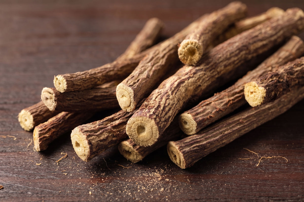 Glycyrrhiza glabra (Süßholz) 