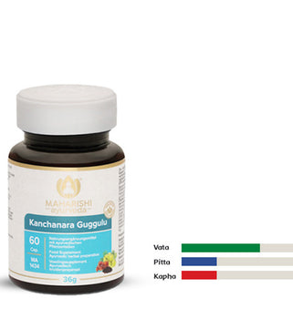 Kanchanara Guggulu – ayurvedisches Produkt