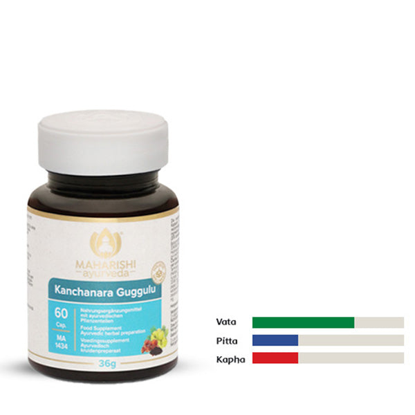 Kanchanara Guggulu – ayurvedisches Produkt