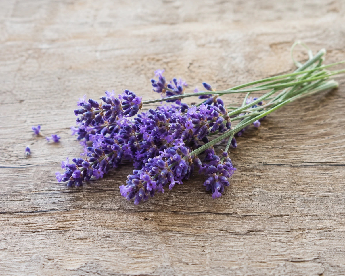 lavender
