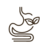 Mask_Group_208177_2x_ebf7fb75-361b-4f55-8cde-63cfebb8a1f9.png