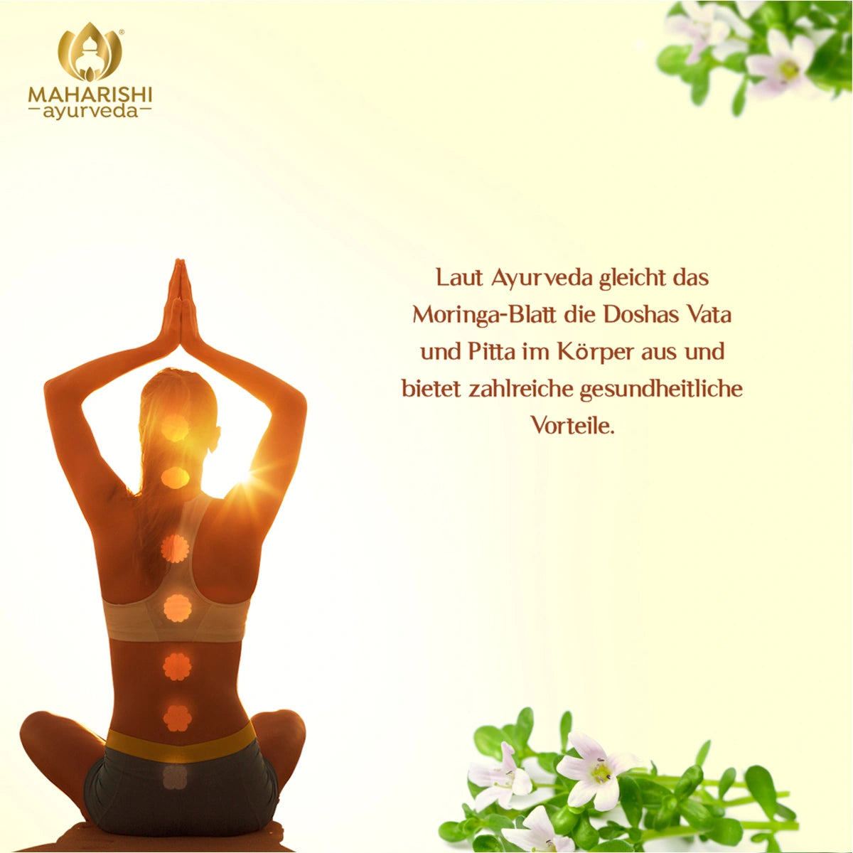 Moringa – ayurvedische Pflanze