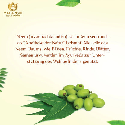 Neemblätter und Neemfrüchte als traditionelle ayurvedische Pflanze