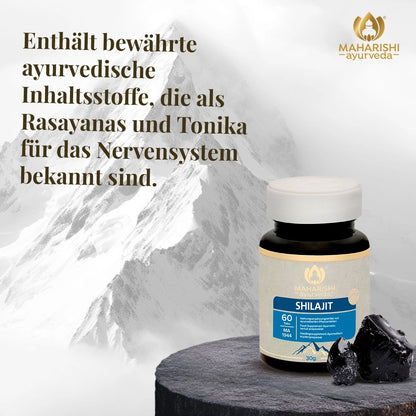 Shilajit Produktdarstellung