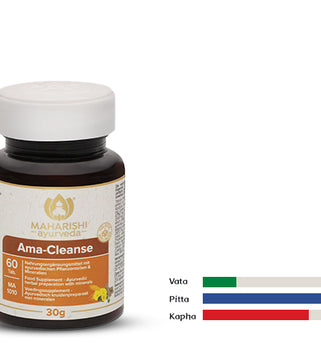 Triphala Plus – ayurvedisches Produkt
