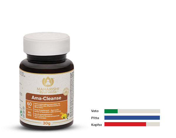 Triphala Plus – ayurvedisches Produkt