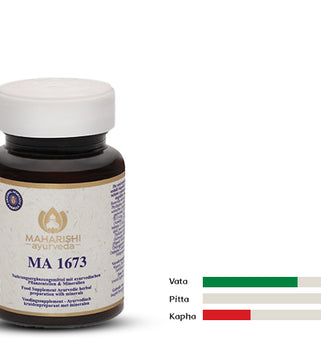 Triphala Plus – ayurvedisches Produkt