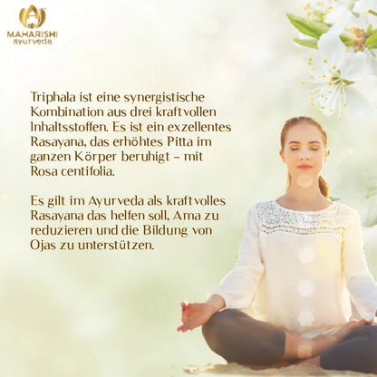 Triphala ayurvedische Rezeptur