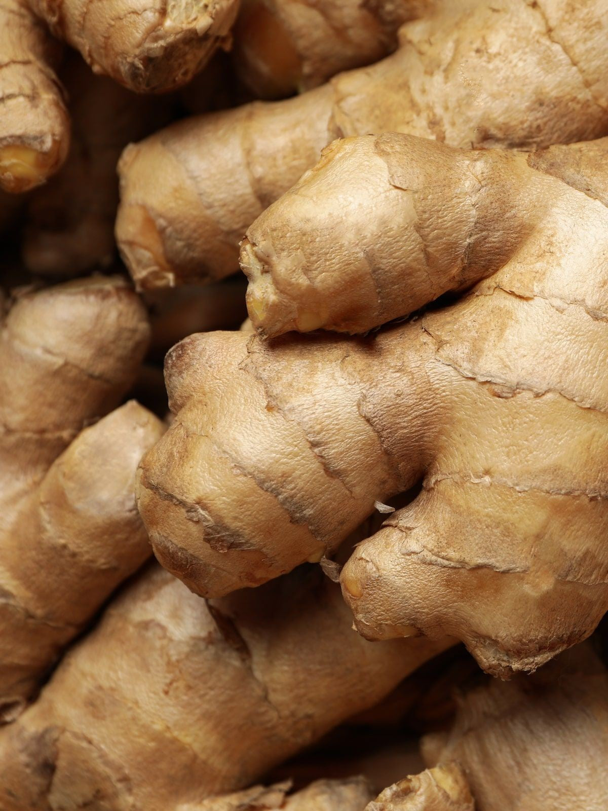 Ginger