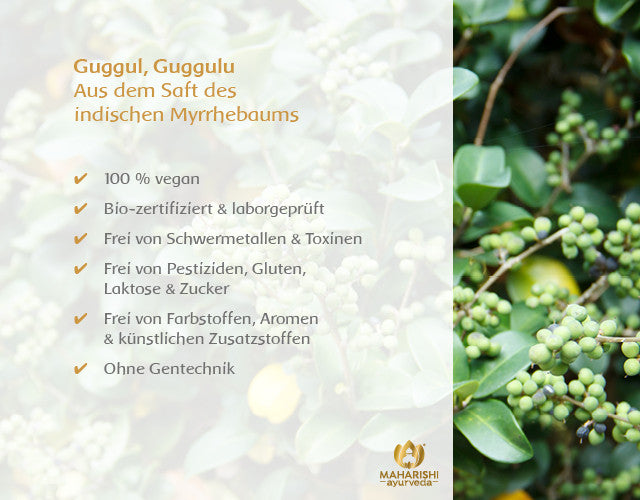 Guggul – Produktqualität
