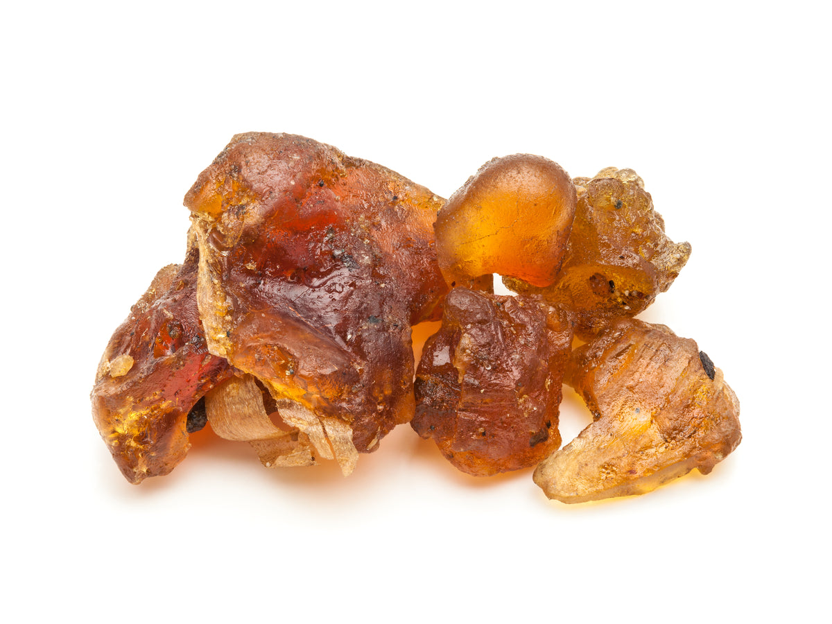 Commiphora mukul (Guggul)