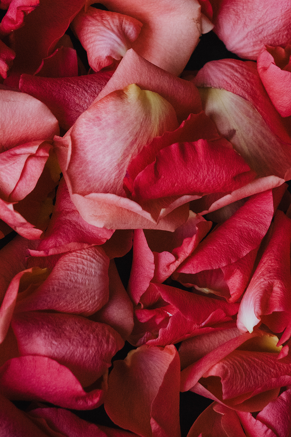 Bio-Rose