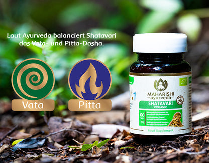 Shatavari und Doshas im Ayurveda