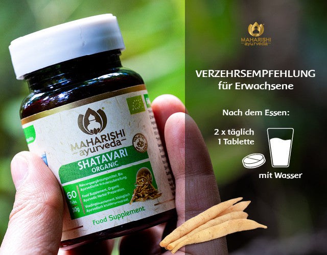 Shatavari – Verzehrempfehlung