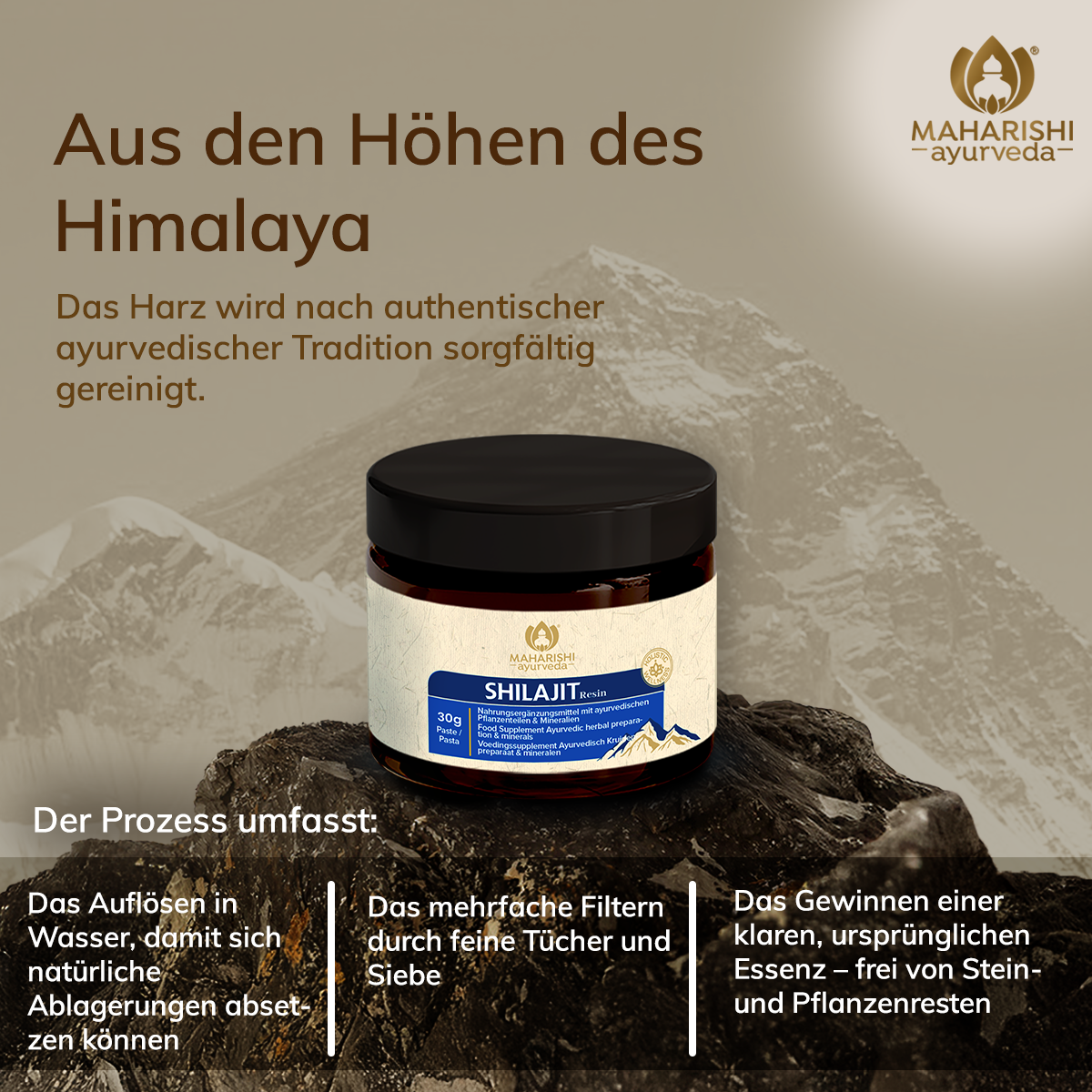 Shilajit Resin