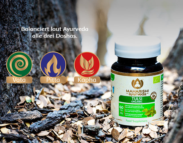 Tulsi und Doshas im Ayurveda