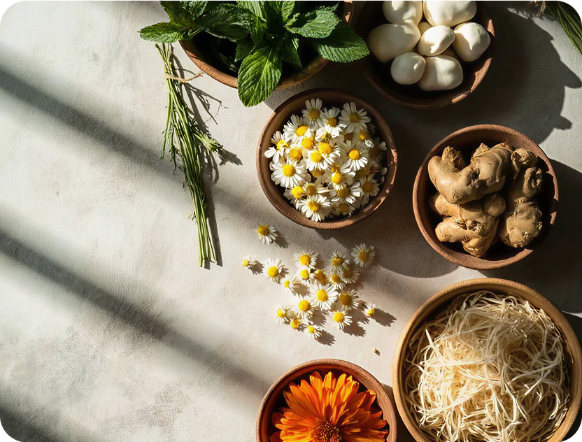 Besondere Wellness-Kräuter
